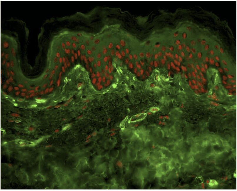 image 2 金蘋果美學診所｜歐家宏醫師