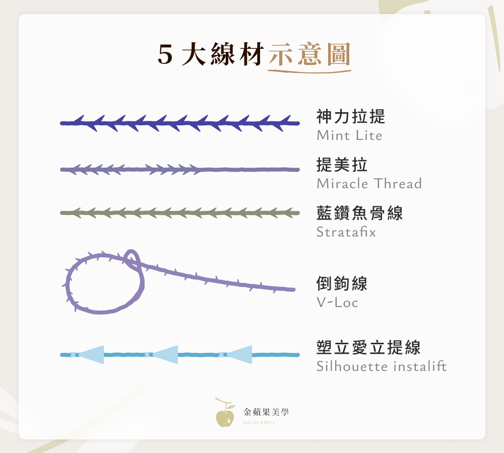神力拉提效果好嗎?線材優勢、費用、案例分享,讓你告別鬆弛下垂 4 5 大線材示意圖