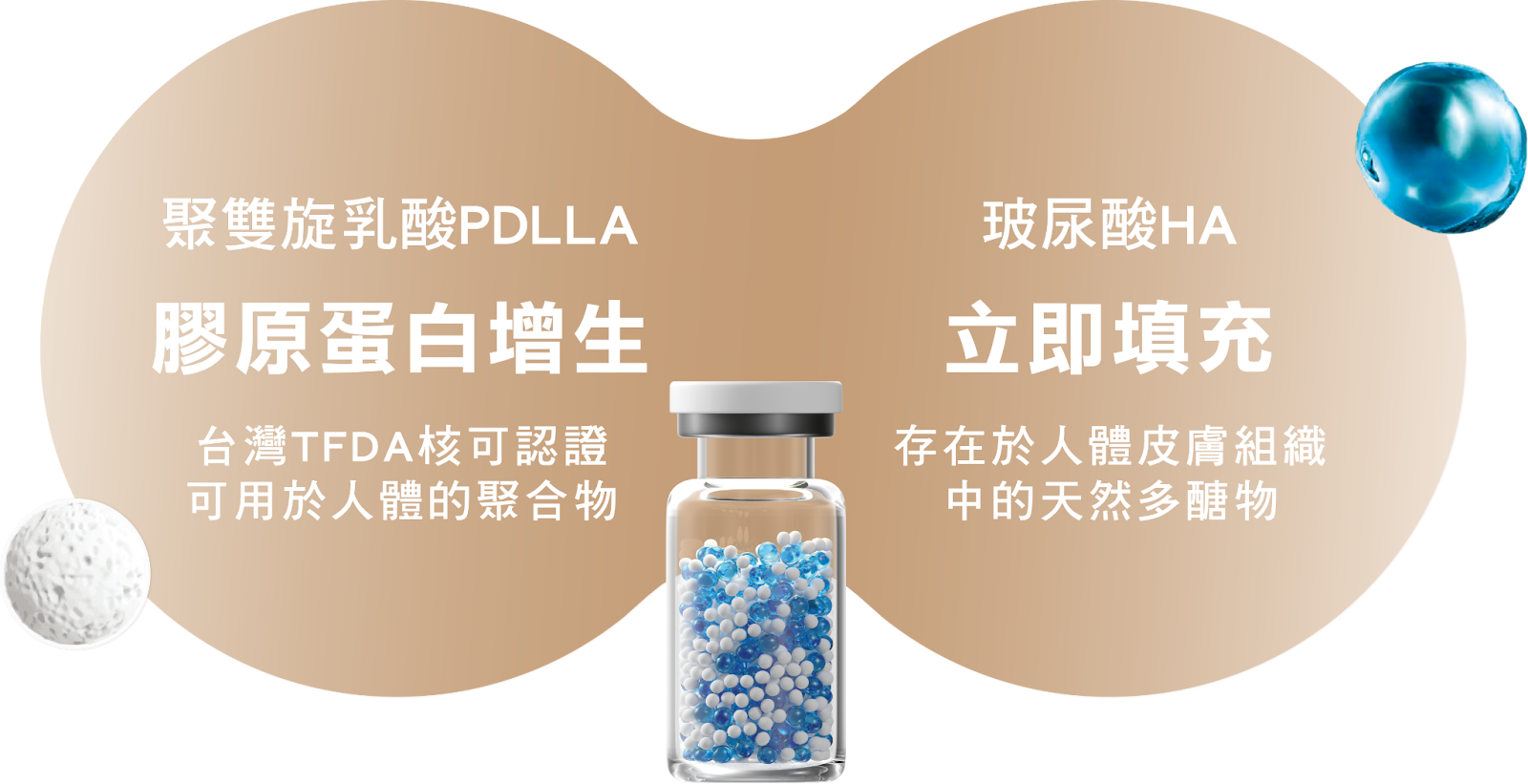 薇貝拉